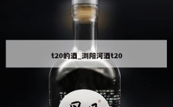 t20的酒_浏阳河酒t20
